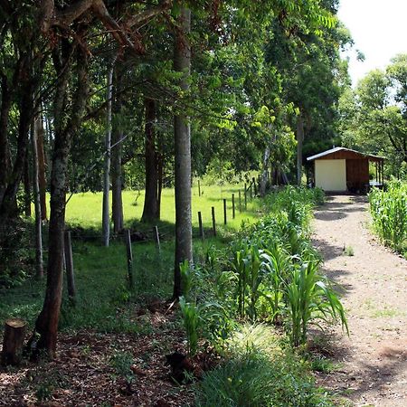 Cabana Na Serra Gaucha! Picada Cafe Kültér fotó